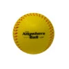 Anywhere Ball - SB/BB Foam Training Balls